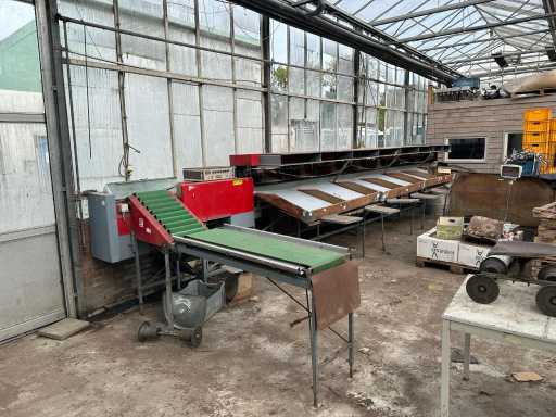 Aweta E 8 Selezionatrice per cetrioli