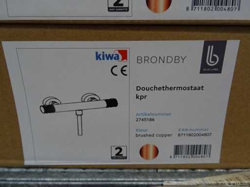 Blue Label - Brondby - 2745186 - Duschthermostat