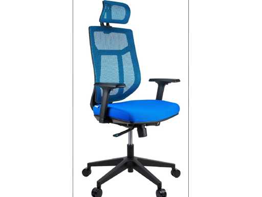 MaxxHome 22064 Ergonomic Office Chair (7x)