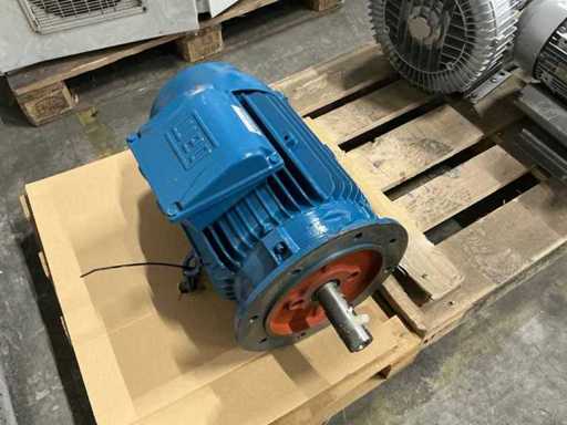 WEG V22 Elektromotor