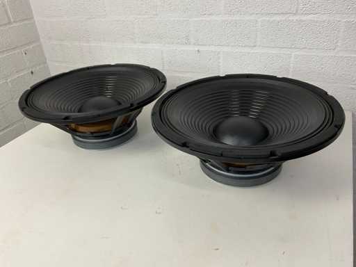 SkyTronic 902.439 15 inch Speaker (2x)