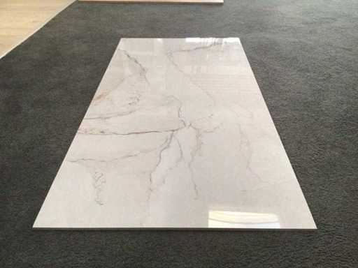 Kutahya Adel White Gepolijst 60x120 cm Tegel 120,96 m²