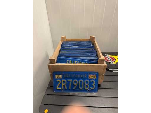 Collectible Amerikaanse nummerplaten (10 stuks)