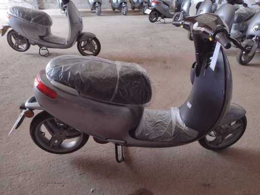 SAXXX - E-Scooter - Ecooter E1S - Scooter