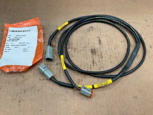 Ray hem Faisceau de câbles ramifié (33x)