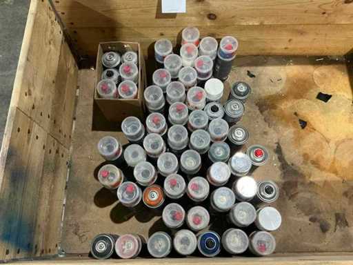 Duplicolor Lot de peintures en aérosol