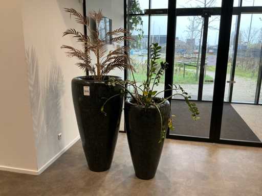 Piante con vasi (2x)