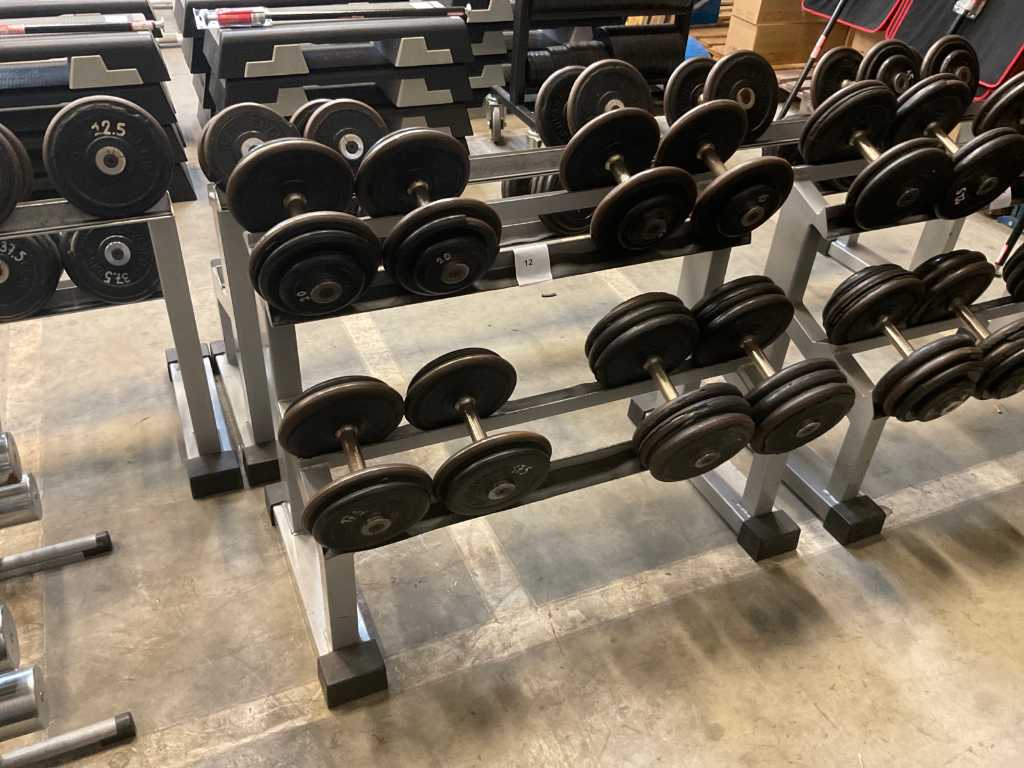 GervaSport Halters (8x)
