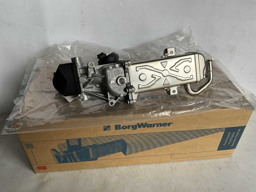Borg Warner 710861D EGR module (2x)