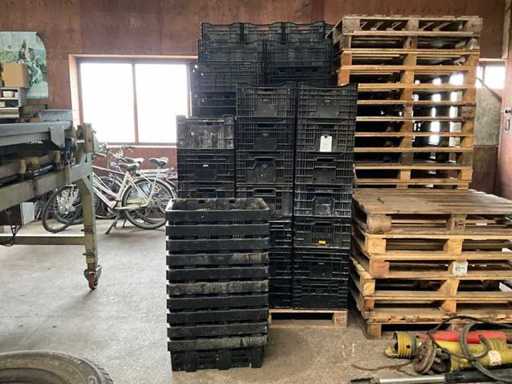 Cage de nénuphars (environ 250 morceaux)