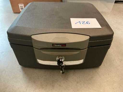 SENTRYSAFE Fireproof cabinet