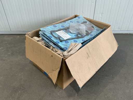 Guarnizione Kikumoto (24x)