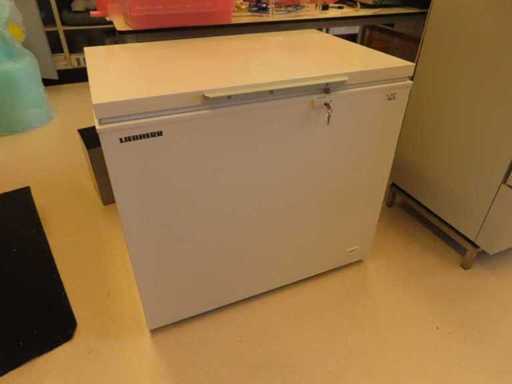 Liebherr - GTL 3005 - Laborgefrierschrank
