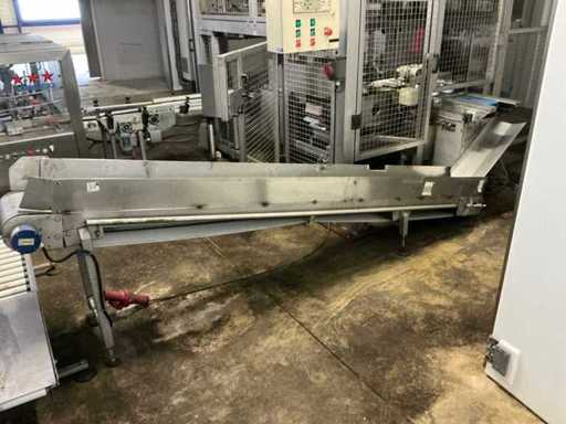 CSM Inclined Conveyor