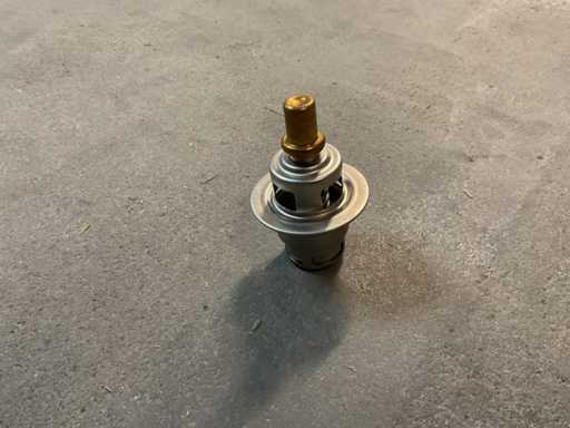 Temp.Regler-Einsatz 140/60 (2x)