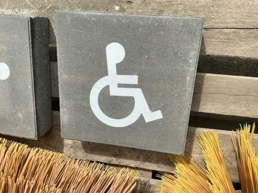 Tuile handicapée 30 x 30 Carrelage jardin de pierres (2x)