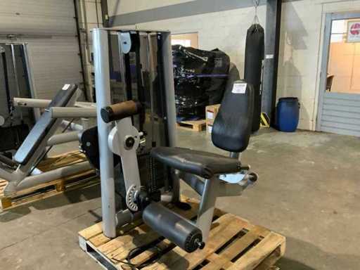 Centrale électrique Gym80 Signum extension de branche