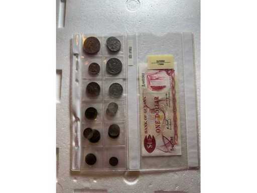 Süd-Afrika 16 Münzen | 1 Dollar Guyana