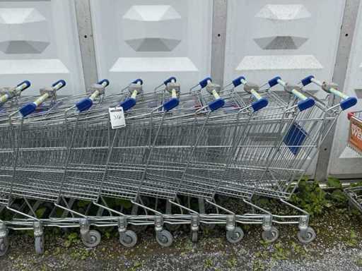 Einkaufswagen (10x)