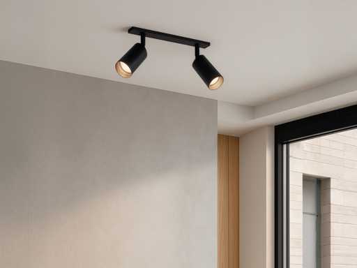 GU10 Opbouwspot Armatuur duo draaibaar (8x)