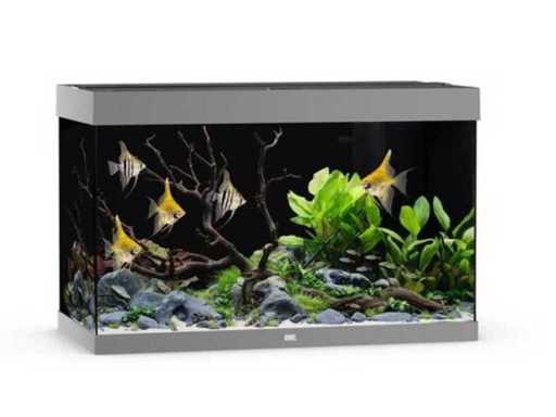 Juwel - Rio 290 - LED - Aquarium