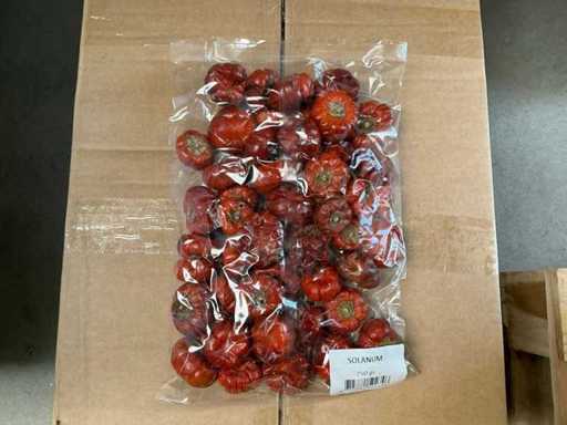 Partia Solanum Natural 250gr na worek (40x)