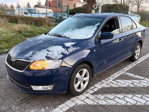 2014 Skoda Rapid Passenger Car