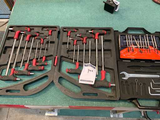 Setul Allen și torx