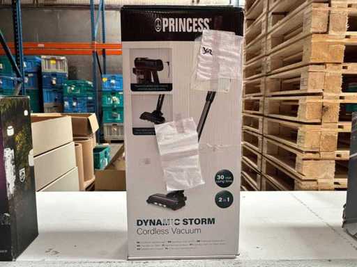 Aspirateur sans fil Princess Dynamic Storm (Steelstofzuiger)