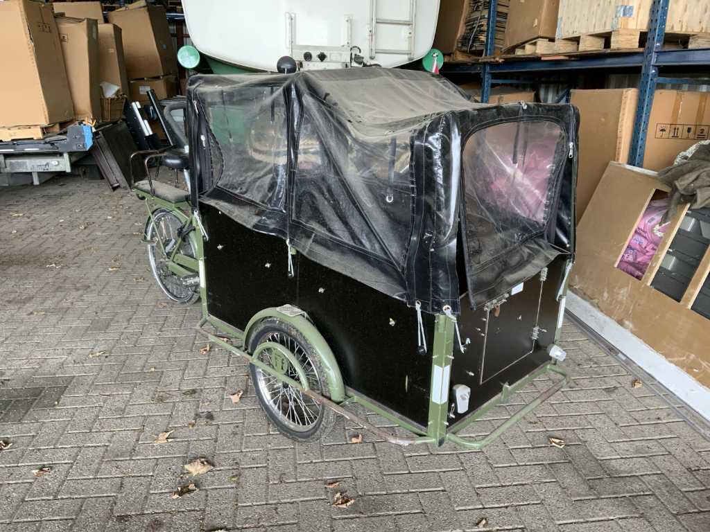 Electric Ff Cargo Bike 6 persons