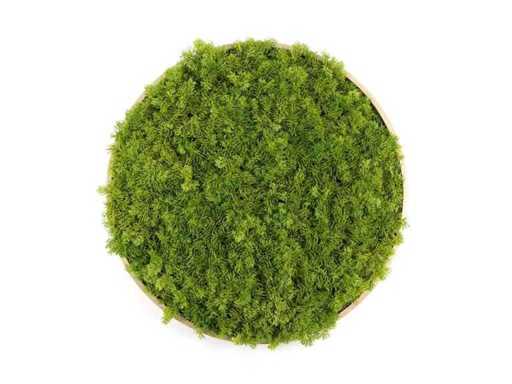 (49x) Cercle mousse 50 cm, cadre vert émeraude / aluminium avec aspect bois, décoration murale