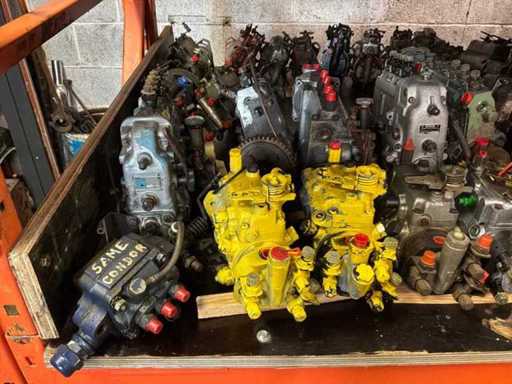 Batch of fuel injection pumps
