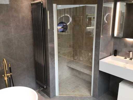 Sealskin Shower Door 86x195 cm