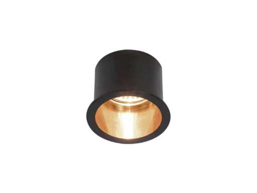 GU10 Recessed fixture with lamp holder (50x)