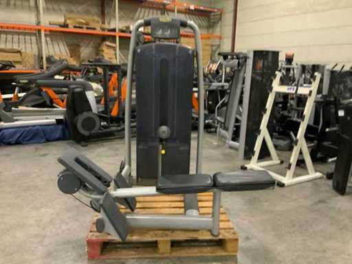 Technogym selection line pulley Krachtstation