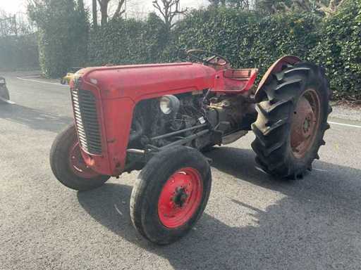 1965 Massey Ferguson 35 Classic Traktor
