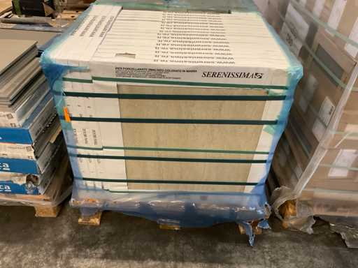 Piastrelle per pavimento Serenissima 60x60 cm circa 43 m²
