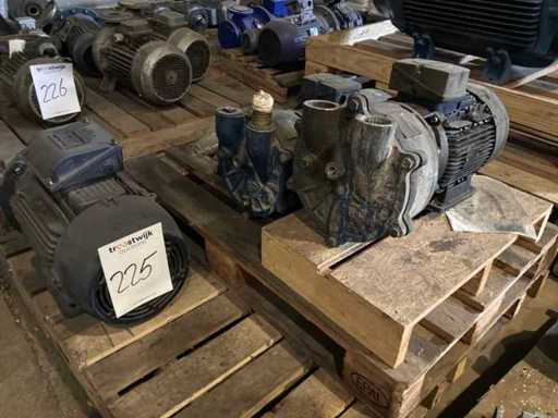 Spezifikation / WEG Elektromotor (3x)
