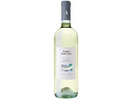 2022 - Muller Thurgau - Trevenezie - Italie - Vin Blanc (60x)