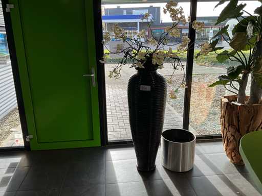 Roślina w doniczkach