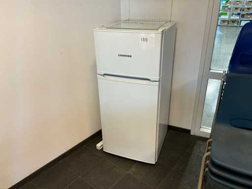 Frigider-congelator Liebherr