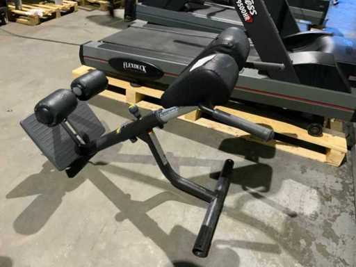 Technogym Element Hyperextension Multi-gym