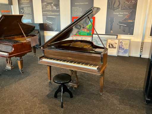 Pianoforte a coda acustico Steck
