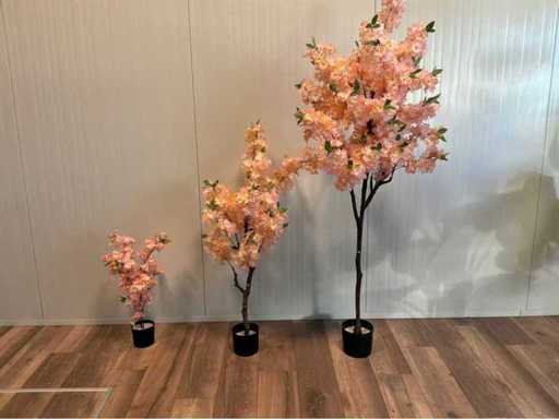 Fiore di ciliegio (3 volte)