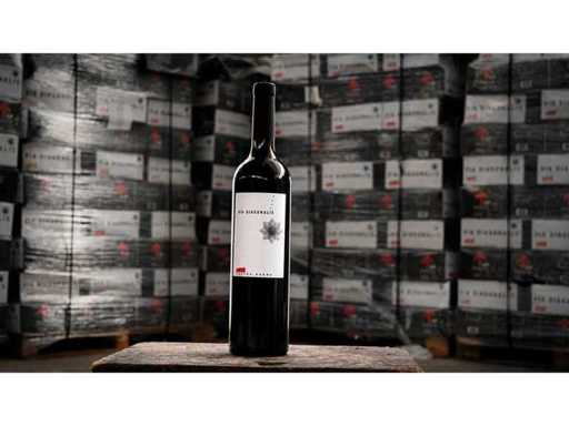 2008 - Castra Rubra Via Diagonalis - 1 palette