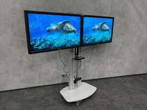 2x Samsung 460MX-2 - 46" LCD flat panel display met statief