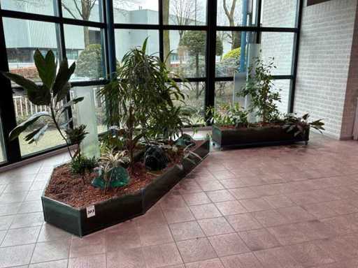 Ghiveci hidroponic din sticlă (2x)