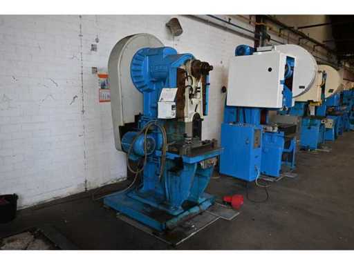 Raskin Eccentric Press