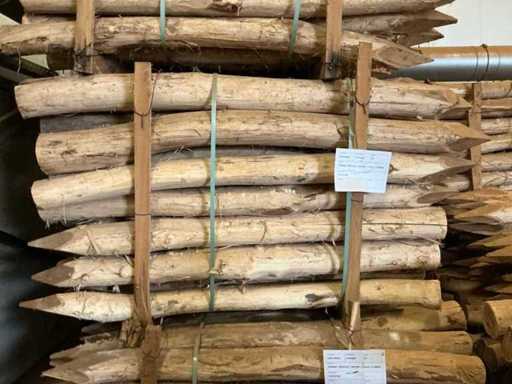 Robinia paal (70x)