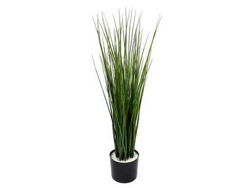 (20x) Roseau 90 cm de couleur vert foncé en pot (diamètre 15 cm)